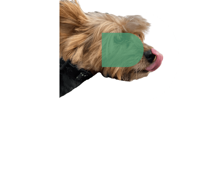 Petsproplus