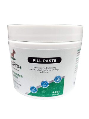 A Pill Paste Bottle in White Color